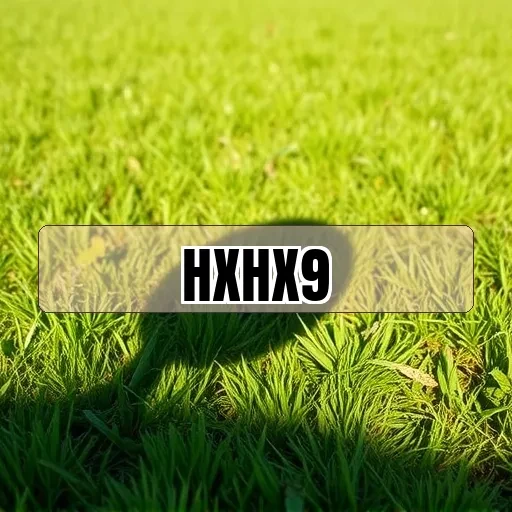 hxhx9: Multijogador para Todos os Gostos e Atrações!
